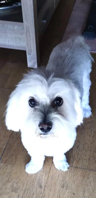 yako en casa