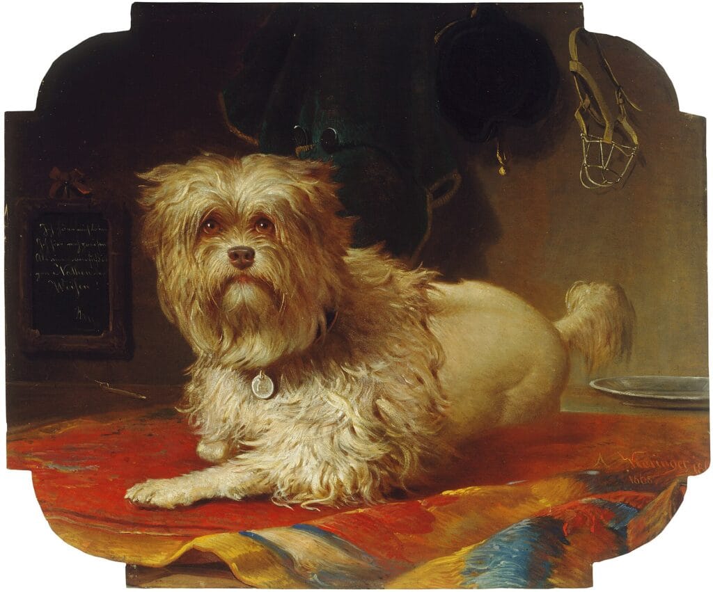 perro leon