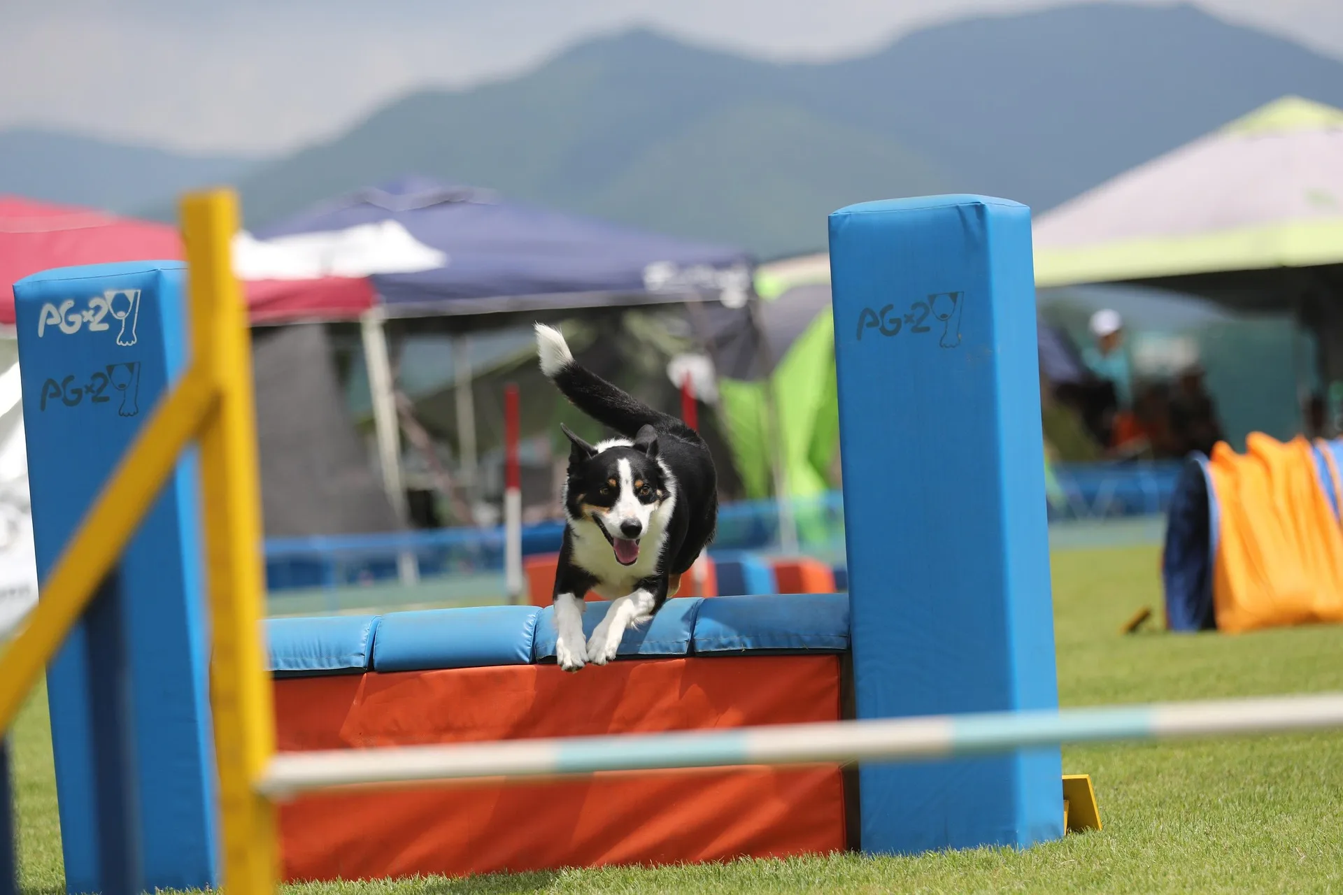 agility